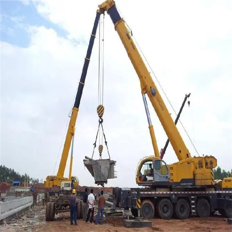 遂宁小型吊机出租电话|厂房设备吊装方案|24小时服务覆盖